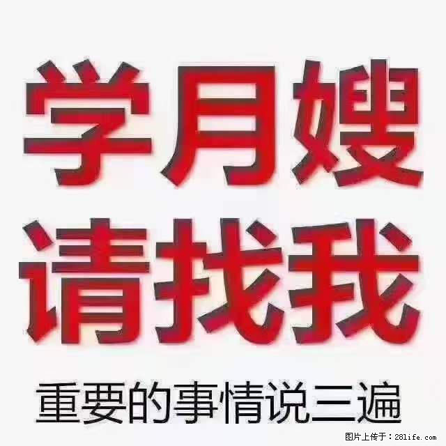 为什么要学习月嫂,育婴师? - 新手上路 - 深圳生活社区 - 深圳28生活网 sz.28life.com