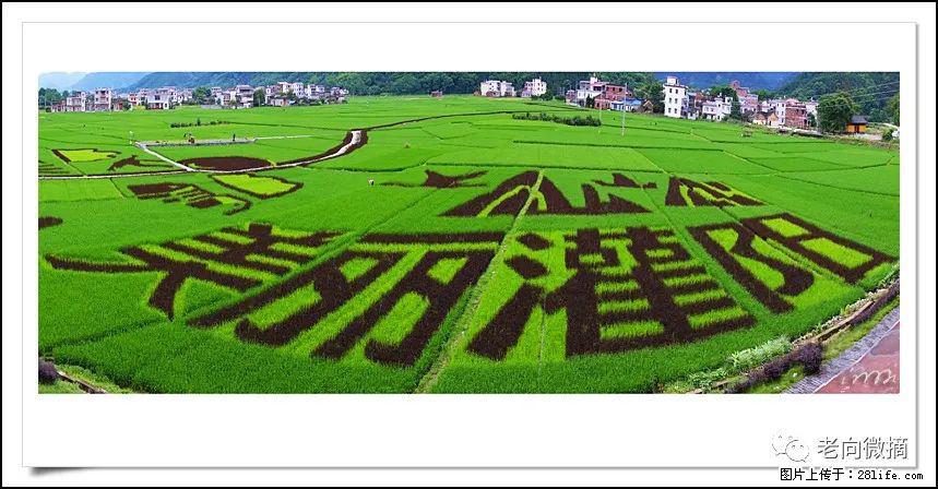 【春天,广西桂林灌阳县向您发出邀请!】开篇 - 游山玩水 - 深圳生活社区 - 深圳28生活网 sz.28life.com