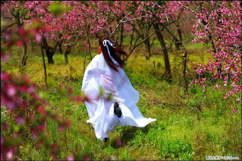 【春天，广西桂林灌阳县向您发出邀请！】官庄村有个醉美的桃花园 - 游山玩水 - 深圳生活社区 - 深圳28生活网 sz.28life.com