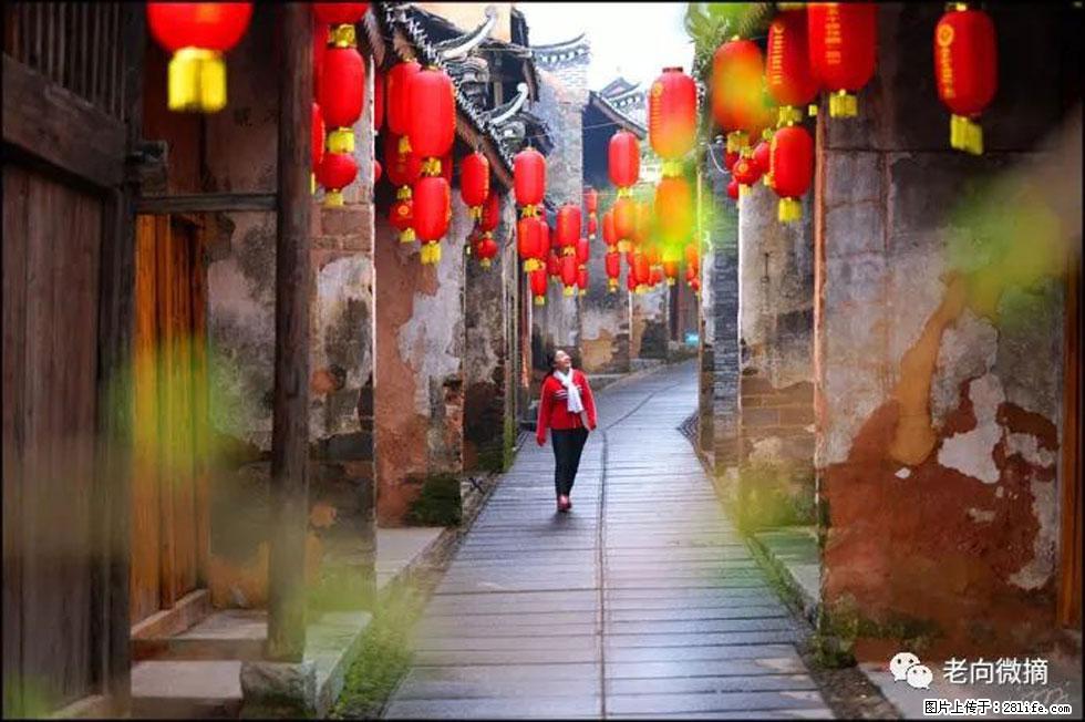 【春天,广西桂林灌阳县向您发出邀请!】江口老街又逢春 - 游山玩水 - 深圳生活社区 - 深圳28生活网 sz.28life.com