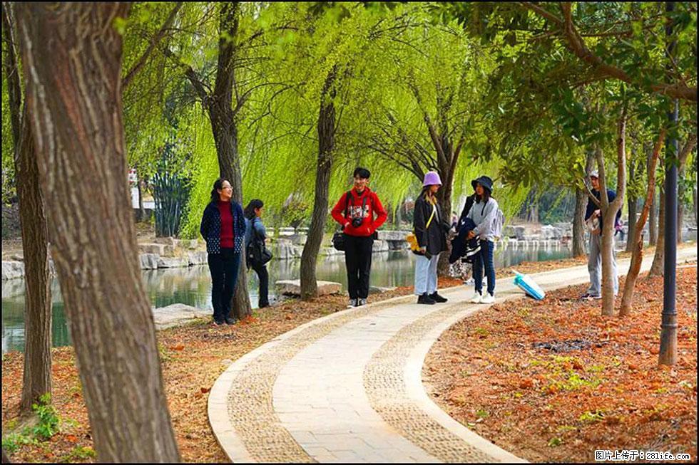 【春天,广西桂林灌阳县向您发出邀请!】江口老街又逢春 - 游山玩水 - 深圳生活社区 - 深圳28生活网 sz.28life.com