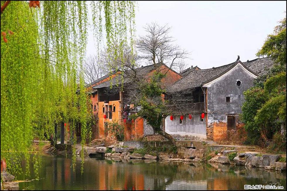 【春天,广西桂林灌阳县向您发出邀请!】江口老街又逢春 - 游山玩水 - 深圳生活社区 - 深圳28生活网 sz.28life.com