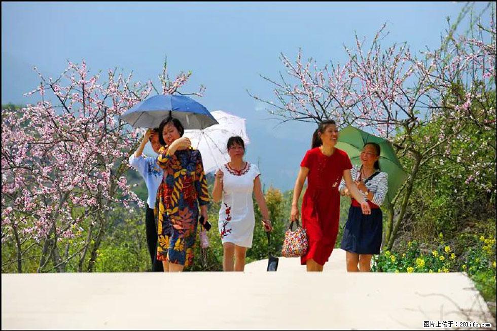 【春天,广西桂林灌阳县向您发出邀请!】望月岭上桃花开 - 游山玩水 - 深圳生活社区 - 深圳28生活网 sz.28life.com