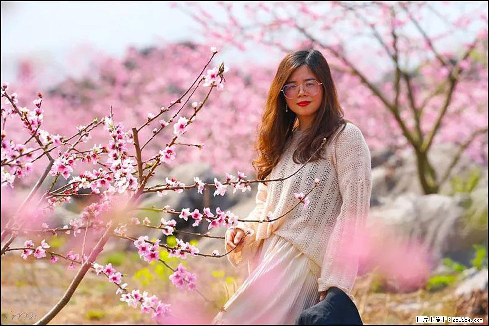 【春天,广西桂林灌阳县向您发出邀请!】望月岭上桃花开 - 游山玩水 - 深圳生活社区 - 深圳28生活网 sz.28life.com