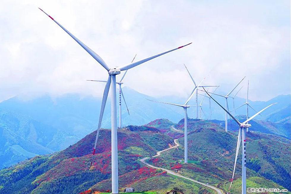 【春天,广西桂林灌阳县向您发出邀请!】春木界上映山红 - 游山玩水 - 深圳生活社区 - 深圳28生活网 sz.28life.com