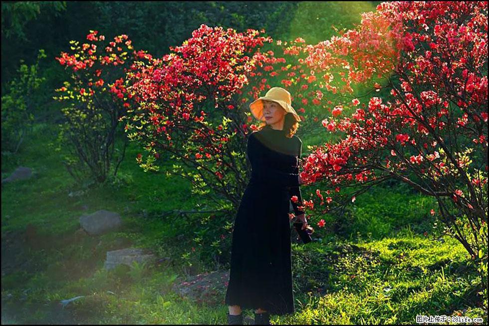 【春天,广西桂林灌阳县向您发出邀请!】春木界上映山红 - 游山玩水 - 深圳生活社区 - 深圳28生活网 sz.28life.com