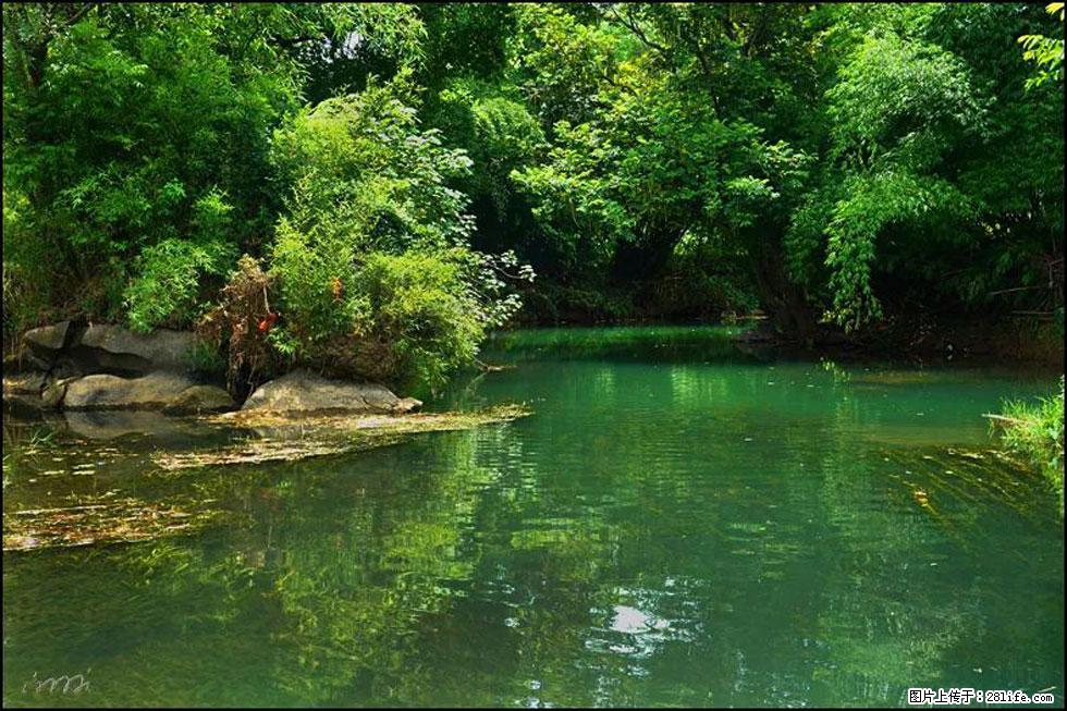【春天，广西桂林灌阳县向您发出邀请！】如梦似幻莲溪庐 - 游山玩水 - 深圳生活社区 - 深圳28生活网 sz.28life.com
