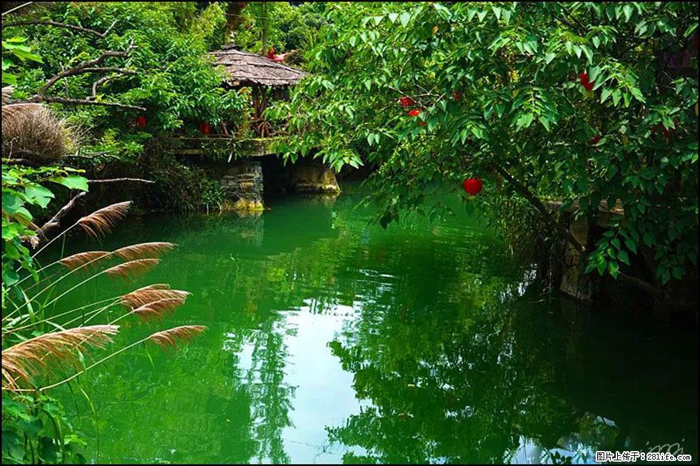 【春天，广西桂林灌阳县向您发出邀请！】如梦似幻莲溪庐 - 游山玩水 - 深圳生活社区 - 深圳28生活网 sz.28life.com