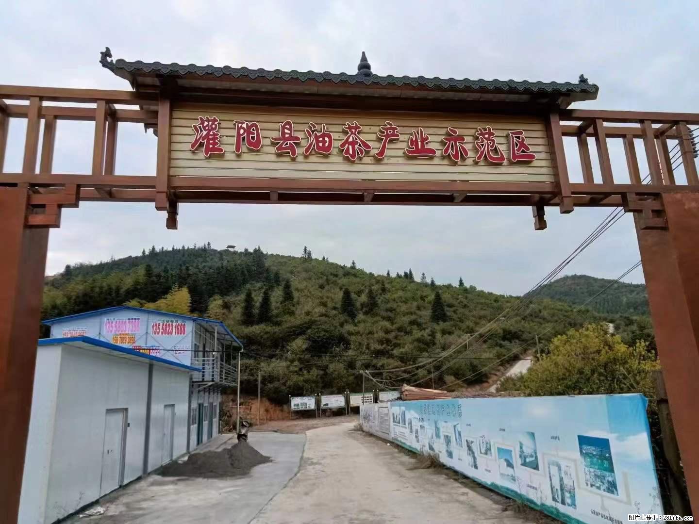 【灌阳县油茶产业示范区】一个有着充实的精神生活的人，对待身外之物自会有一种淡泊的态度 - 美食天地 - 深圳生活社区 - 深圳28生活网 sz.28life.com