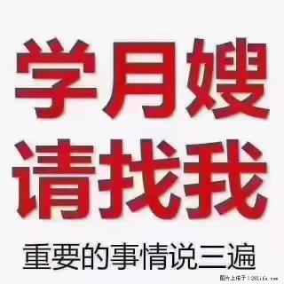 为什么要学习月嫂，育婴师？ - 深圳28生活网 sz.28life.com