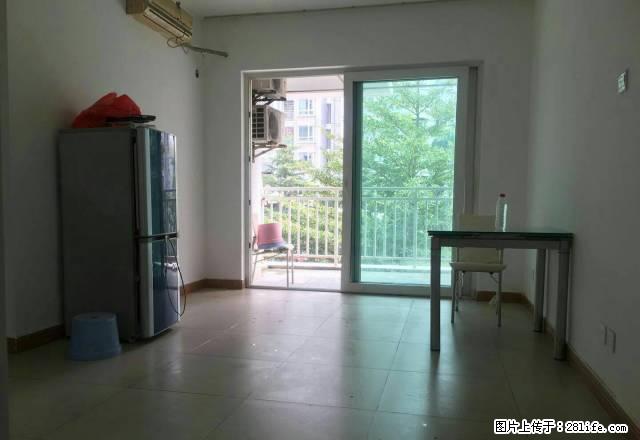 3真实房源,户型方正,采光好, - 房屋出租 - 房屋租售 - 深圳分类信息 - 深圳28生活网 sz.28life.com