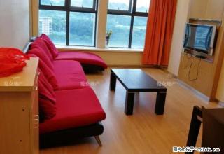 大运高端社区 精装两室 全齐家私家电 拎包入住 阳光天健城 - 深圳28生活网 sz.28life.com