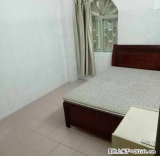 家私家电大大2房1厅环境好全采光无遮挡近地铁降价租 - 深圳28生活网 sz.28life.com