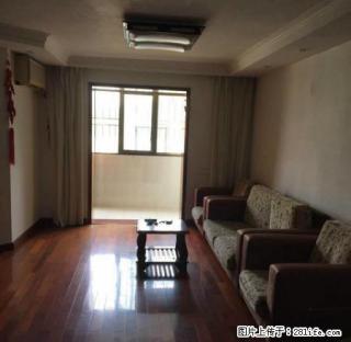 金丽大三房，精装修，保养好，超值的一套。 - 深圳28生活网 sz.28life.com