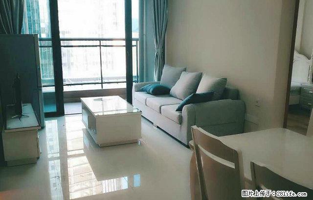 雨馨公寓精装大单间 两房 三房独立卫生间 大生活阳台假一赔十 - 房屋出租 - 房屋租售 - 深圳分类信息 - 深圳28生活网 sz.28life.com