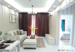 洁癖福音全新装修全新家具电器首出租石夏地铁口车位充足拎包入住 - 深圳28生活网 sz.28life.com