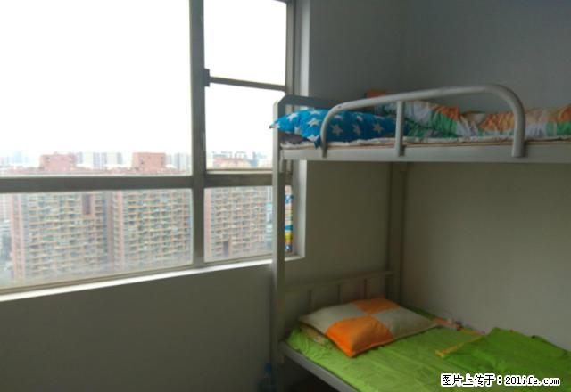 (单间出租)免押金/地铁口/青年合租/刷卡支付/配套齐全/租期灵活 - 房屋出租 - 房屋租售 - 深圳分类信息 - 深圳28生活网 sz.28life.com