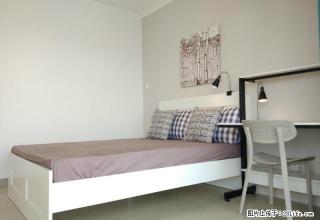 (单间出租)返现一千六 住蛋壳 周末一起狼人杀 近地铁小区房只收房租 - 深圳28生活网 sz.28life.com