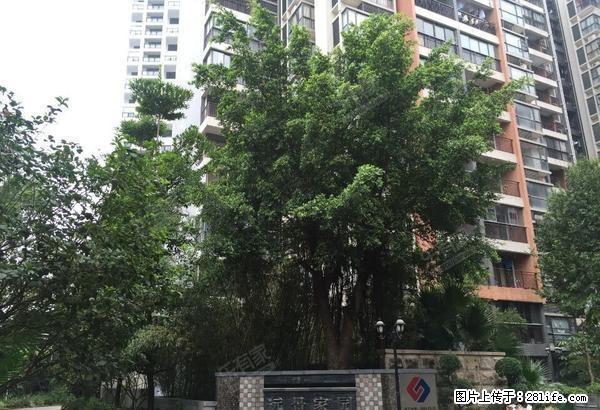 民治上塘地鉄站800米 精装3房带车位出租 降价500 - 房屋出租 - 房屋租售 - 深圳分类信息 - 深圳28生活网 sz.28life.com