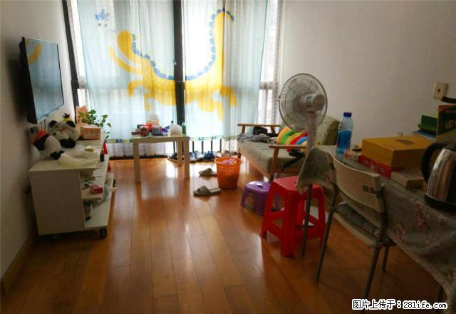 金地梅陇镇四期 精装温馨一房,家私齐全 拎包入住 成心出租 - 房屋出租 - 房屋租售 - 深圳分类信息 - 深圳28生活网 sz.28life.com