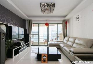 漾日湾畔，海岸城配套，生活便利，精装3房，后海2号线11号线 - 深圳28生活网 sz.28life.com