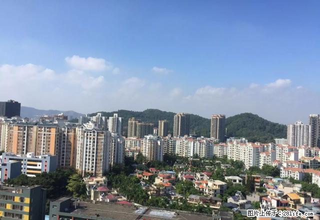 布吉丹竹头荔枝花园大2房1厅出租高层 外景通风免费送宽带一年 - 房屋出租 - 房屋租售 - 深圳分类信息 - 深圳28生活网 sz.28life.com