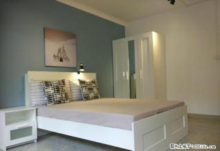 (单间出租)汇景豪苑蛋壳公寓直租 双周保洁 拎包入住 包物业包宽带 - 深圳28生活网 sz.28life.com