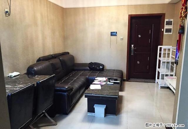 阳光里 13年新楼 南山地铁口 精装两房 家电全齐 安静高层 - 房屋出租 - 房屋租售 - 深圳分类信息 - 深圳28生活网 sz.28life.com