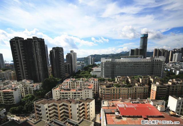 (单间出租)（单间出租）次卧 温暖的家 沙头角 精装修 重回大学时光 - 房屋出租 - 房屋租售 - 深圳分类信息 - 深圳28生活网 sz.28life.com