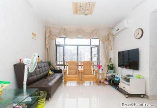 世纪春城八号公寓三房，家私电齐全，保养好，随时可以看房 - 深圳28生活网 sz.28life.com
