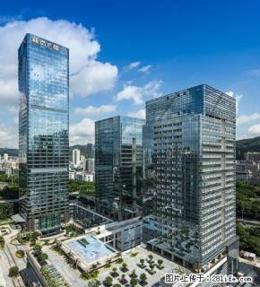 独栋，泳池，CBD，健身房，私人影院。尽在HARBOUR社区 - 深圳28生活网 sz.28life.com