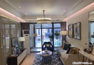 芒果网深大小西门 厚德品园 精装四房 南北通近科技园 海岸城 - 深圳28生活网 sz.28life.com