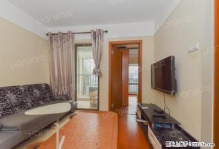 百鸽笼地铁站 布吉关 万科红精装一房一厅 家私齐全 环境优美 - 深圳28生活网 sz.28life.com