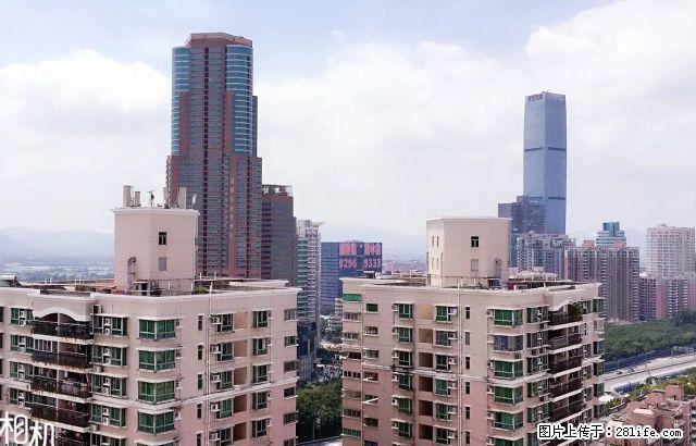 骏皇名居南向豪华装修,正规好房型出租,拎包入住,大两房 - 房屋出租 - 房屋租售 - 深圳分类信息 - 深圳28生活网 sz.28life.com