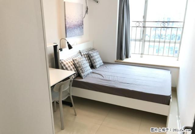 (单间出租)南头花园中南苑 蛋壳公寓直租 精装主卧 交通便利 智能门锁 - 房屋出租 - 房屋租售 - 深圳分类信息 - 深圳28生活网 sz.28life.com