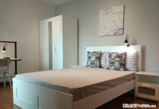 (单间出租)返现1个月房租 蛋壳公寓 押一付一 交通便利 双周保洁 - 深圳28生活网 sz.28life.com