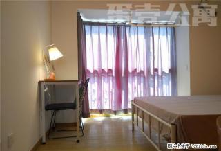 (单间出租)蛋壳公寓直租，0中介，精装主卧，押一付一，交通便利，拎包入住 - 深圳28生活网 sz.28life.com