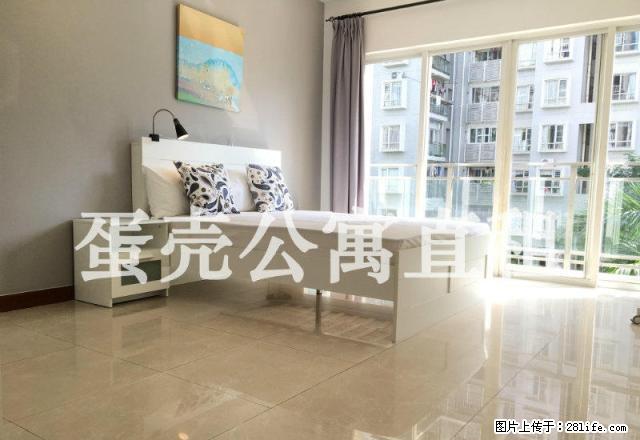 旺海怡苑 蛋壳公寓直租 精装主卧 房间实拍 免费WiFi - 房屋出租 - 房屋租售 - 深圳分类信息 - 深圳28生活网 sz.28life.com