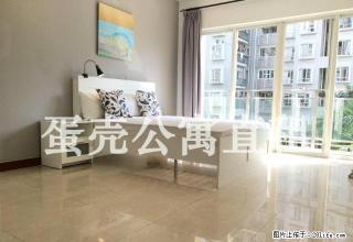 旺海怡苑 蛋壳公寓直租 精装主卧 房间实拍 免费WiFi - 深圳28生活网 sz.28life.com