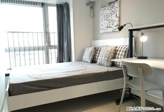 (单间出租)康乐大厦 蛋壳公寓直租 精装主卧 温馨装修 免费WiFi - 房屋出租 - 房屋租售 - 深圳分类信息 - 深圳28生活网 sz.28life.com