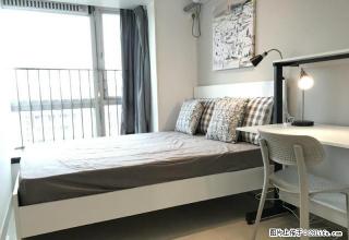 (单间出租)康乐大厦 蛋壳公寓直租 精装主卧 温馨装修 免费WiFi - 深圳28生活网 sz.28life.com