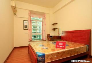 颐安都会中央二期 精装修家私电齐全 看Cocopark有钥匙 - 深圳28生活网 sz.28life.com