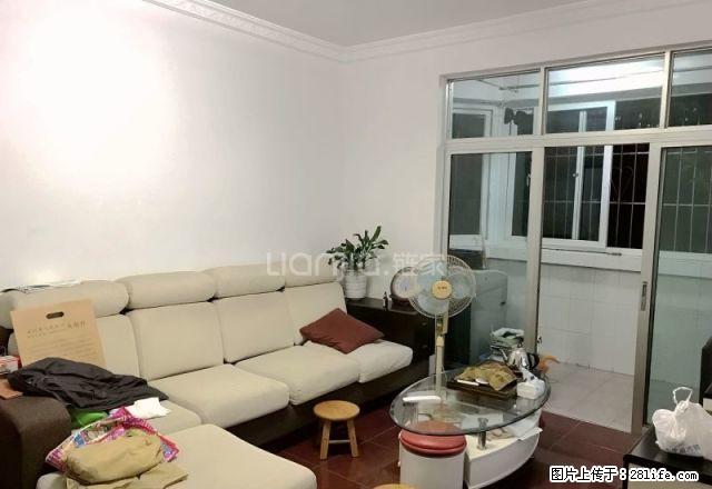 安家优选 鹏湾花园一村 正规三房 家私电齐 - 房屋出租 - 房屋租售 - 深圳分类信息 - 深圳28生活网 sz.28life.com