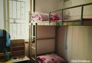 (单间出租)松园北街小区有房出租干净整洁随时入住 - 深圳28生活网 sz.28life.com