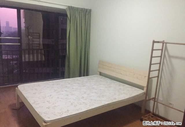 全年水电网络免费,前15天免租,图片价格都是真实,可短租个人 - 房屋出租 - 房屋租售 - 深圳分类信息 - 深圳28生活网 sz.28life.com