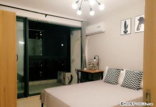 (单间出租)海昌阁 蛋壳公寓直租  押一付一 拎包入住 双周保洁 - 深圳28生活网 sz.28life.com