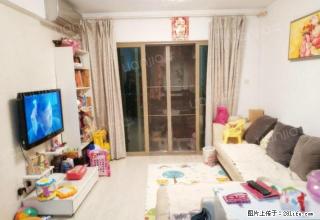 荔山公馆 精装三房 家私全齐 5500元 - 深圳28生活网 sz.28life.com