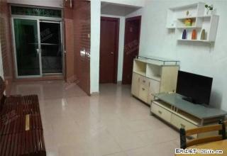 梧桐苑西区住宅楼 业主诚心出租 随时看房入住 - 深圳28生活网 sz.28life.com