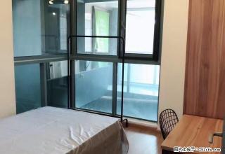 (单间出租)紧邻宝体，达海花园，小区公寓直租，无中介 - 深圳28生活网 sz.28life.com