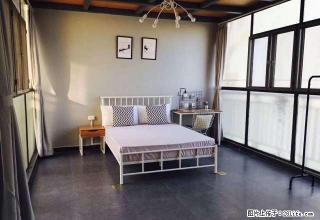 (单间出租)圣诞节钜惠 精装全配 价格实惠 采光好 繁华地段 浪漫小窝 - 深圳28生活网 sz.28life.com